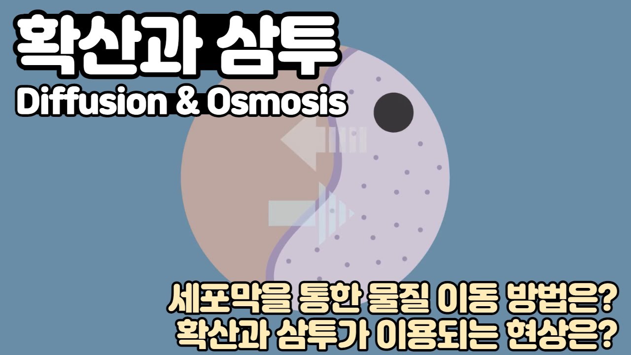 확산과 삼투 Diffusion and Osmosis