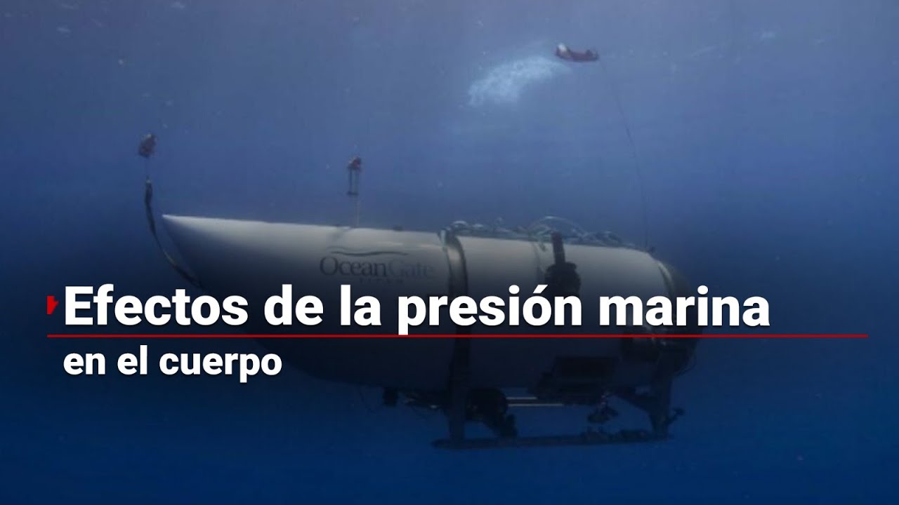 #Entrevista