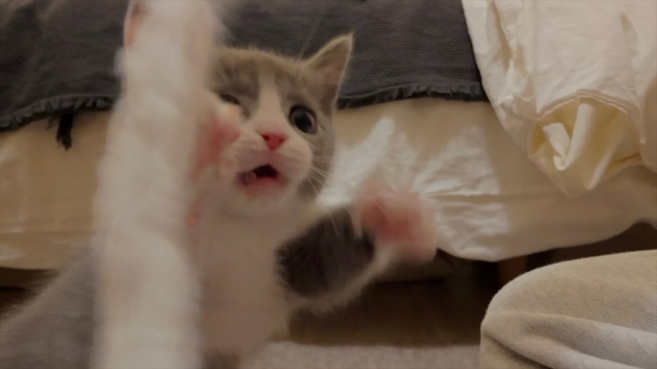 ちゃんと名前は覚えてね