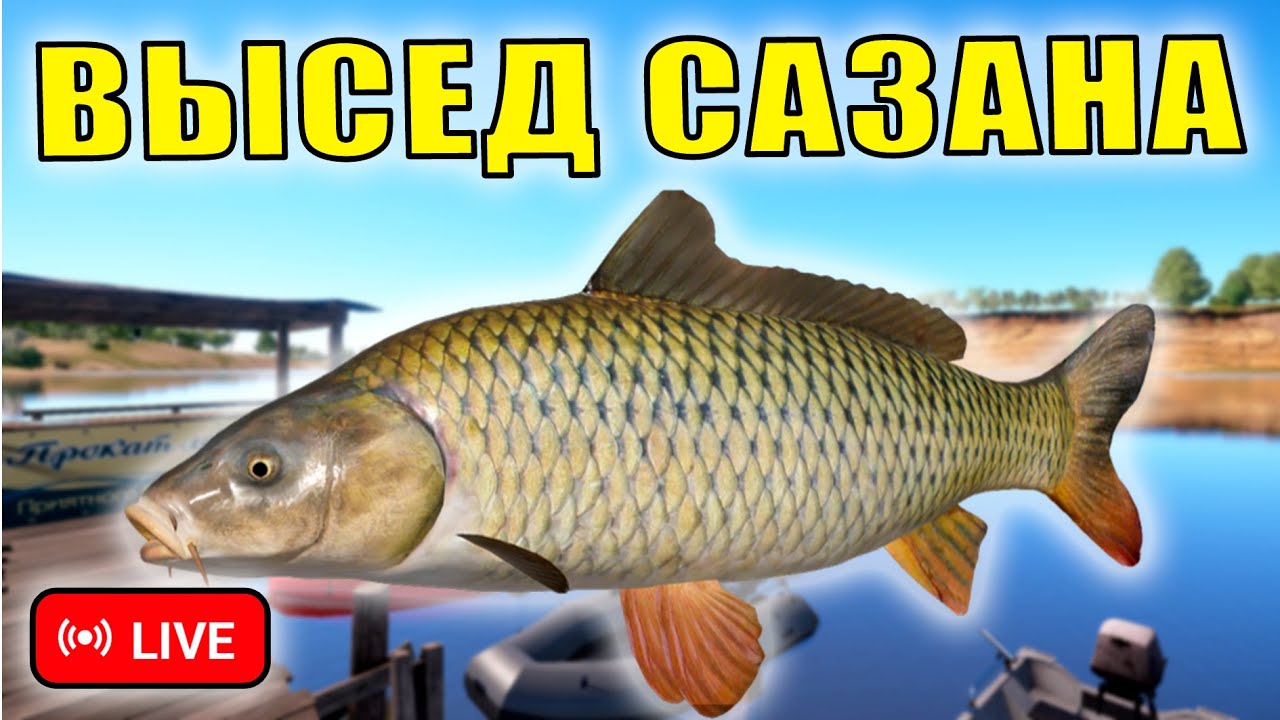 ПРОВЕРЯЕМ ФАРМ НА МЕДНОМ ОЗЕРЕ И ЗА РУССКИМ ОСЕТРОМ НА АХТУБУ! • СТРИМ • - Русская Рыбалка 4 РР4