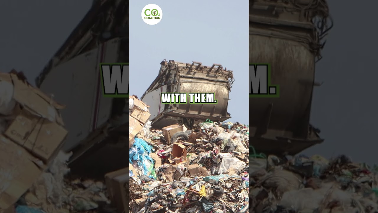 Waste-to-Energy┋Patrick Moore