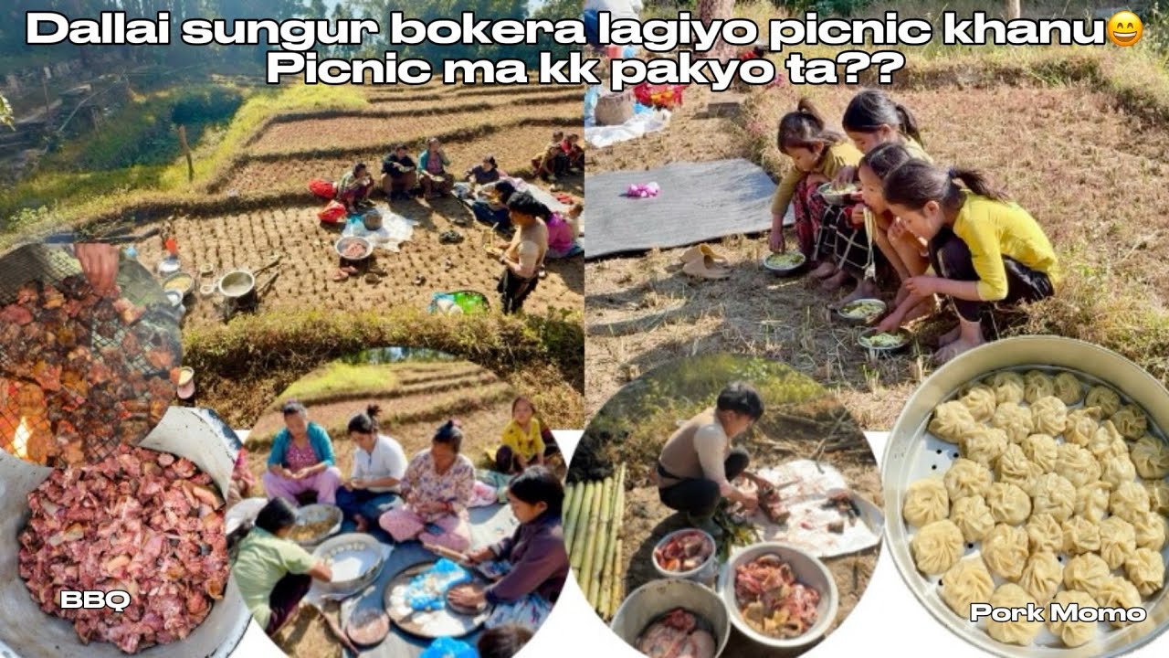 Dallai Sungur lagera gaiyo gauko hami Gaule banbhoj (Picnic) khanu khet tira😁🙏🏼