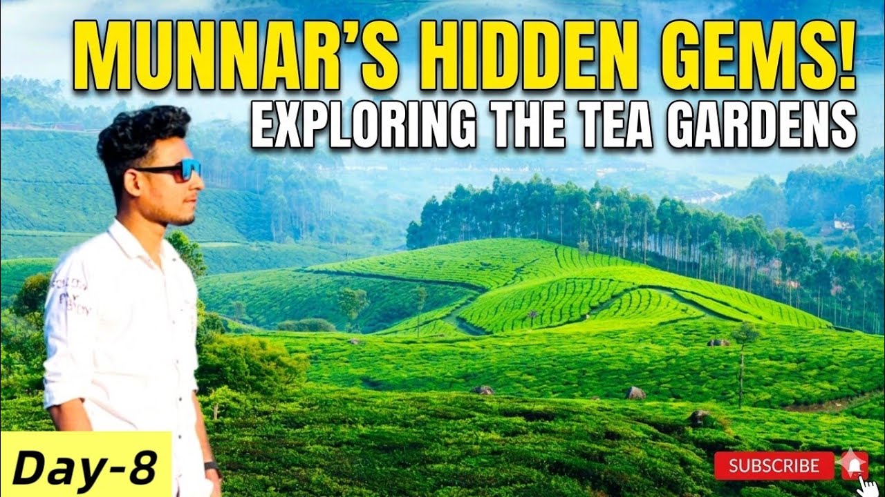 kerala most beautiful places munnar | Munnar tourist place | shine reza vlog | South India | day-8