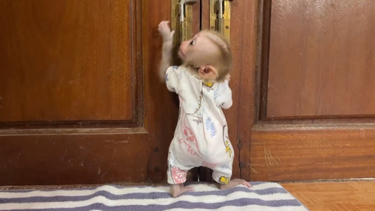 Smart A Tong Nerv0us To Stand Unlock Door Go To Mom