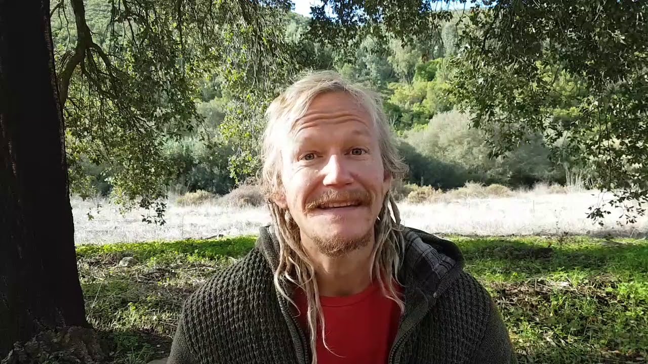 The Optimistic Movement