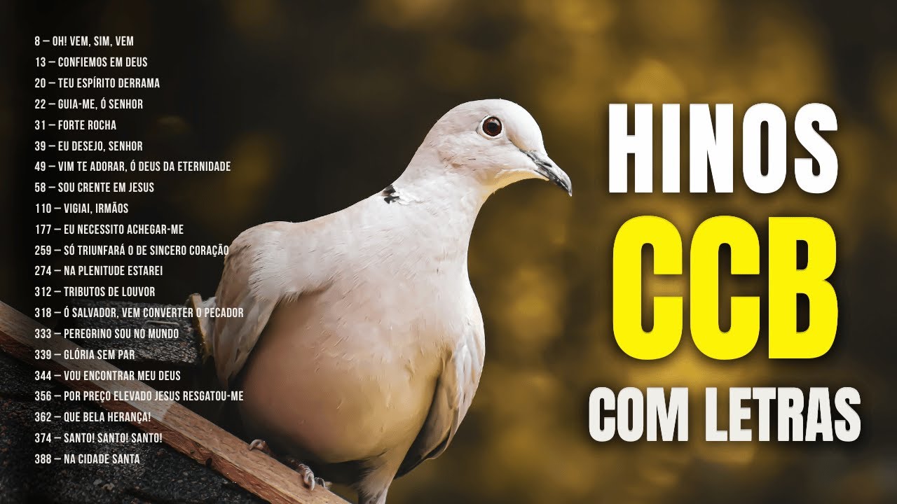 VOCÊ PRECISA OUVIR ISSO HOJE | Hinos CCB de Gratidão 🎶🌿 🙏🎶#hinosccb #ccbhinos