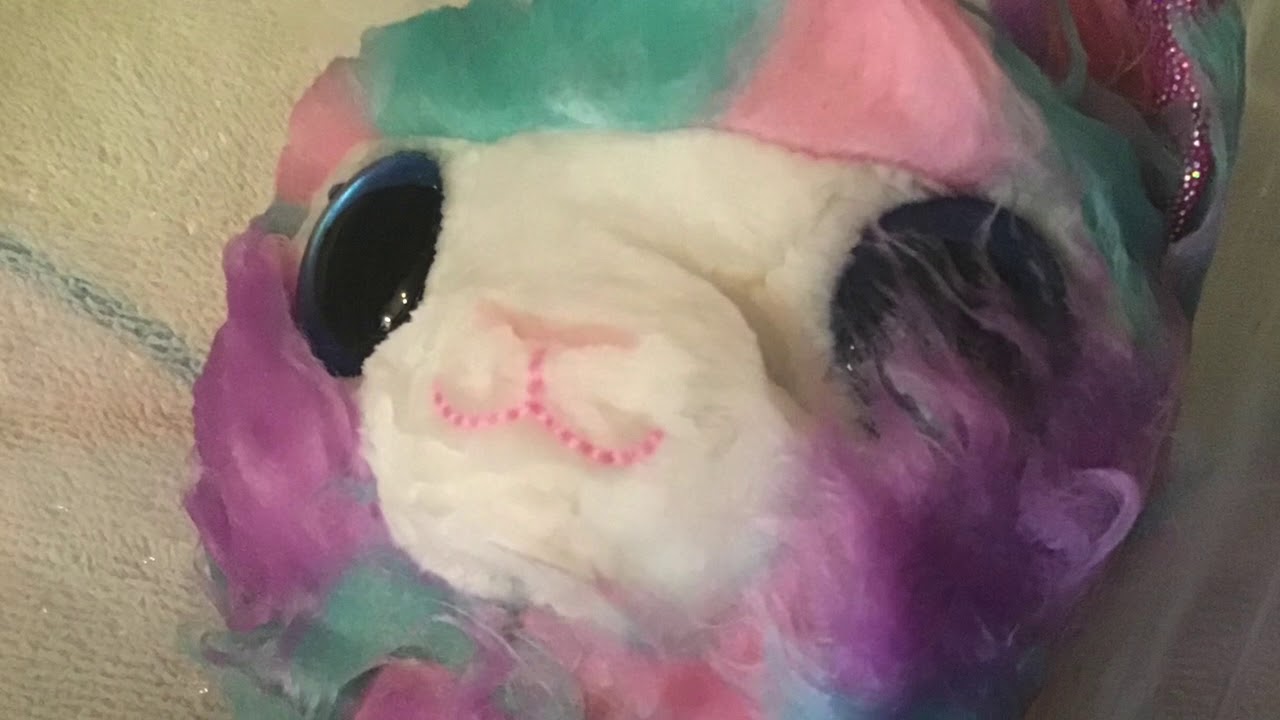 Unboxing a scruff-a-luv