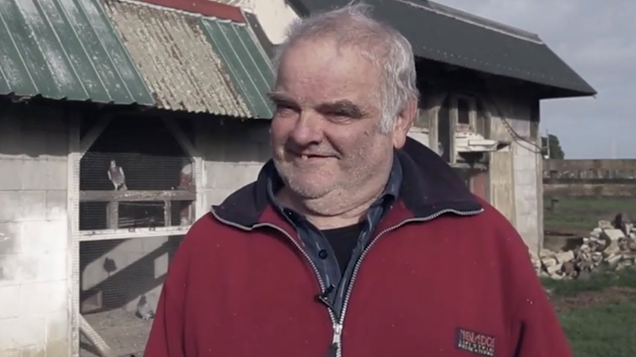 Flights of Fanciers | Pigeon Racing