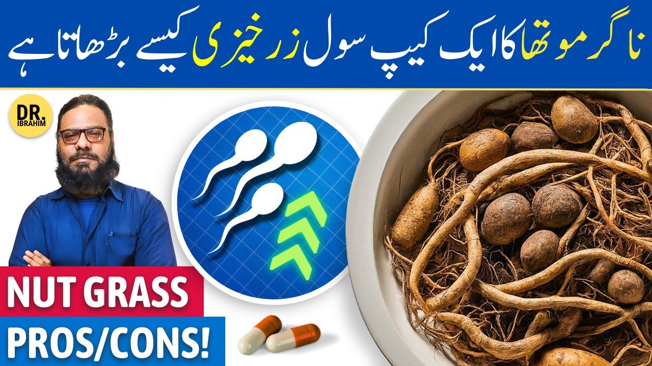 Nagarmotha Ke Fayde/Istemal | Nut Grass Benefits/Uses | Cyperus scariosus | Dr. Ibrahim