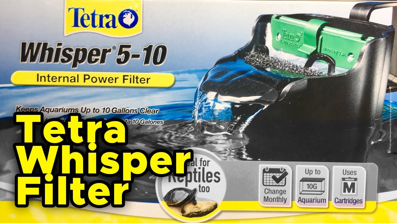 Tetra Whisper Filter |Enhancement and Review|