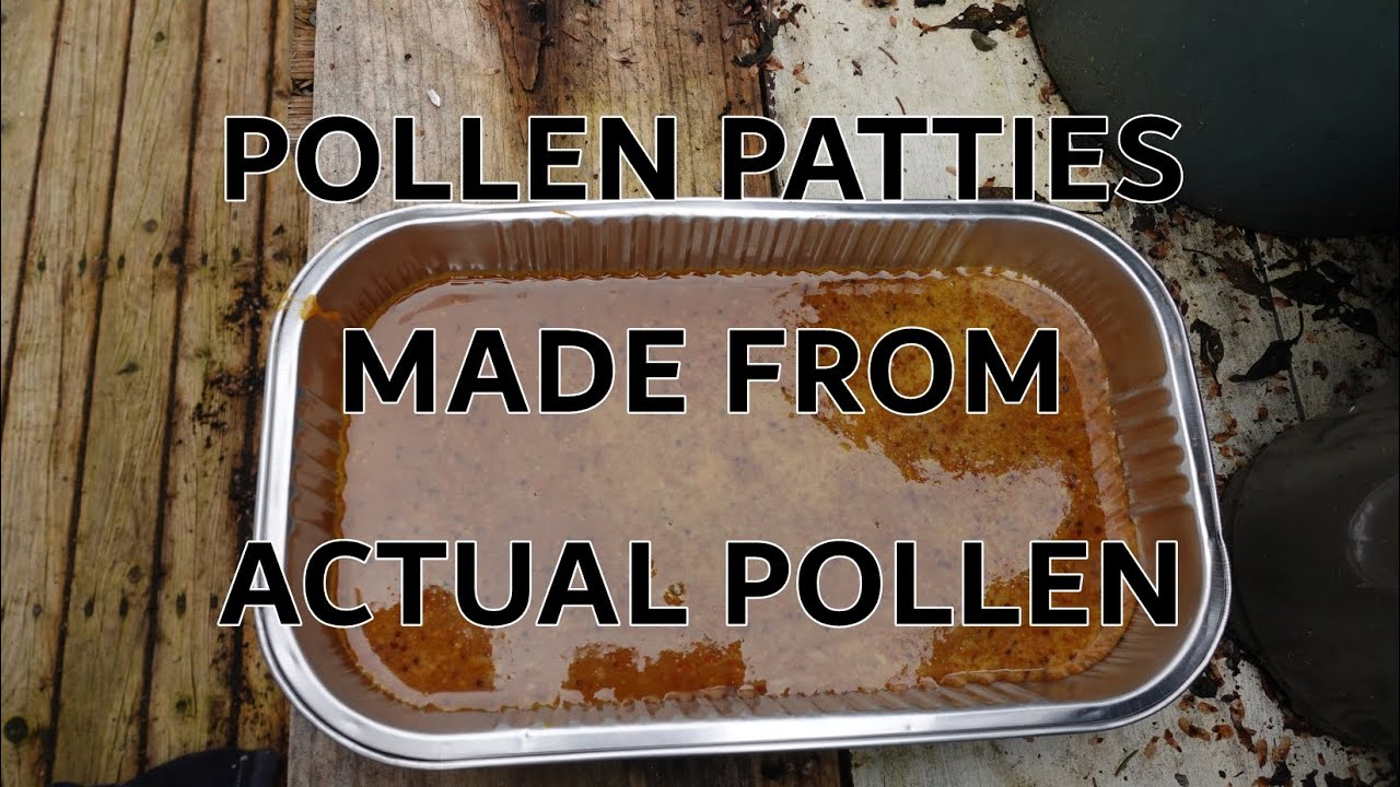 Homemade Pollen Patties with Real Pollen (April 06, 2024)