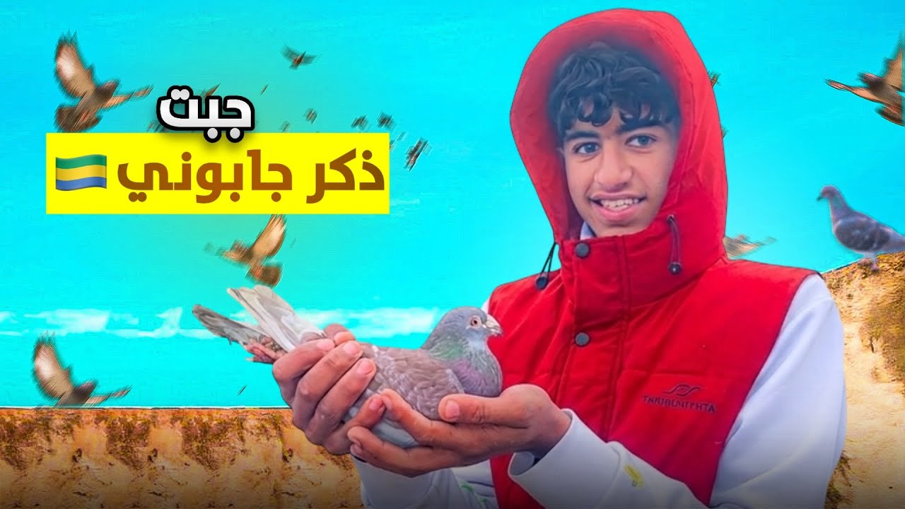توليعة في الحمام الزاجل🕊️واخيراً جبت ذكر جابوني ميمكنش🤯🇬🇦
