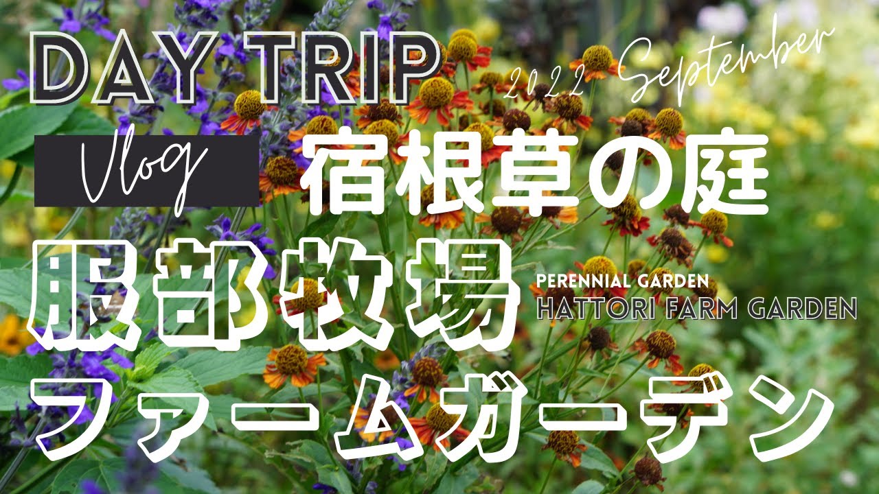 【宿根草の庭】服部牧場ファームガーデンで秋の宿根草を堪能してきました！