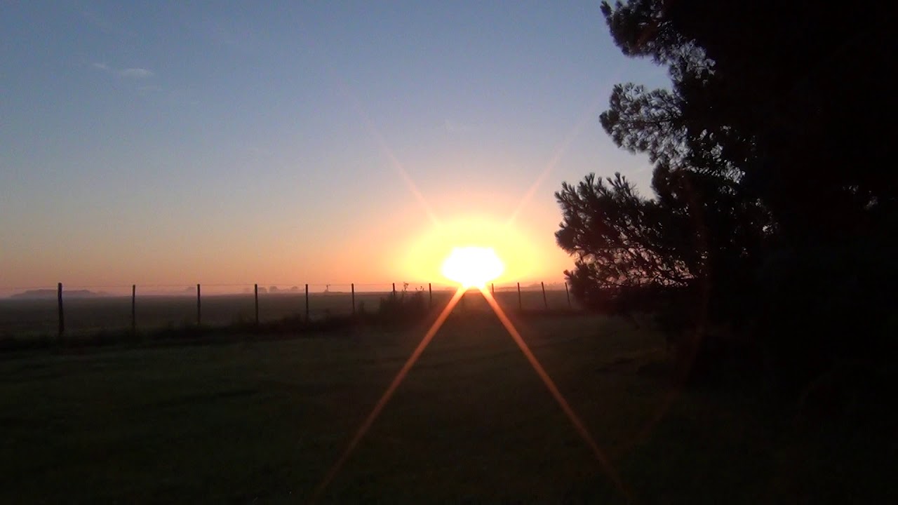 Amanecer en el campo. Canto de aves.