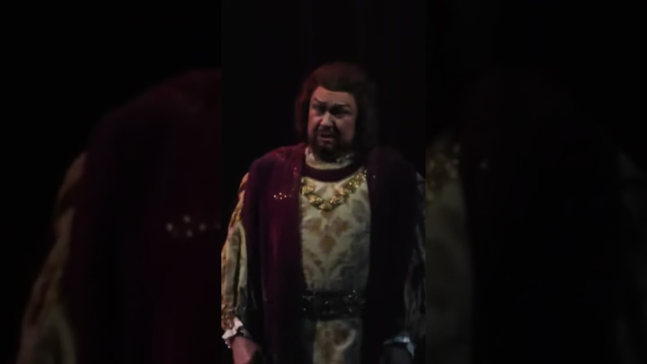 Vladimir Vaneev • Aria of King Rene / "Iolanta" opera by Pyotr Tchaikovsky; Mariinsky Theatre