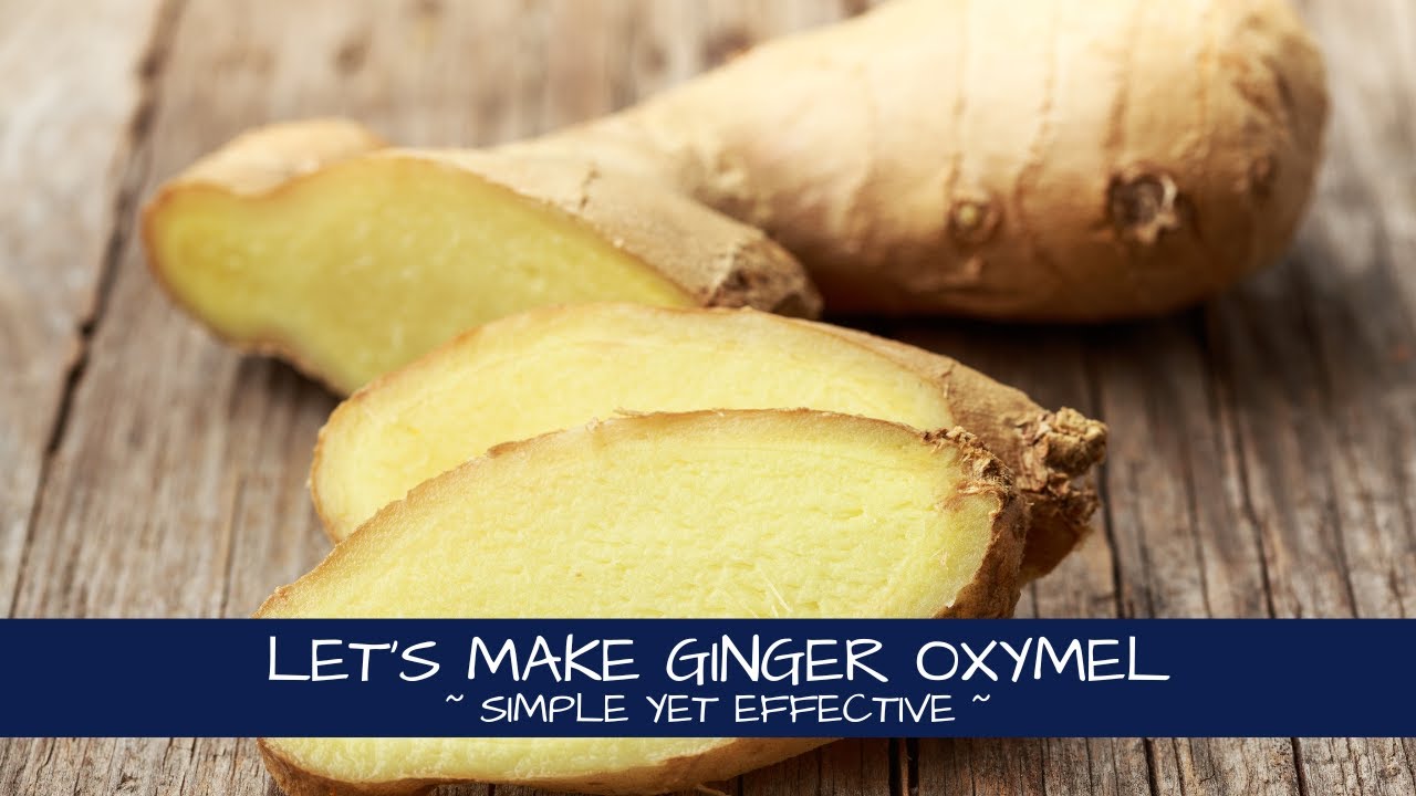 Let's Make Ginger Oxymel | And All You Need is At the Grocery Store!