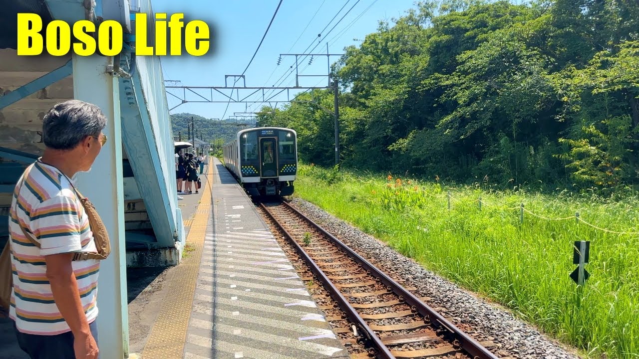 【房総グルメ】大人の遠足！内房線ぶらり途中下車グルメ旅♪｜のんびりと贅沢な一日｜海鮮・竹岡式ラーメン・かき氷満喫！