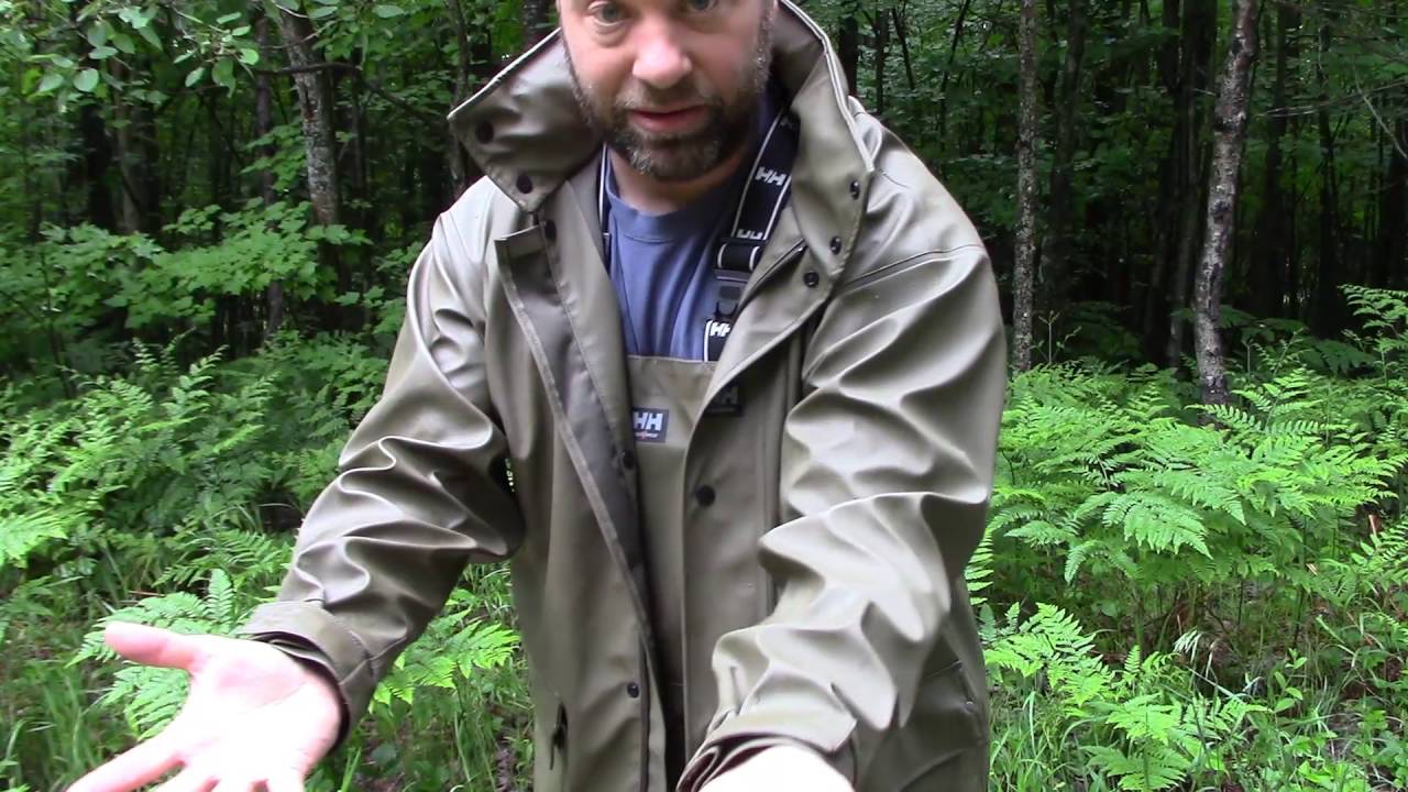 Обзор дождевика Helly Hansen Impertech