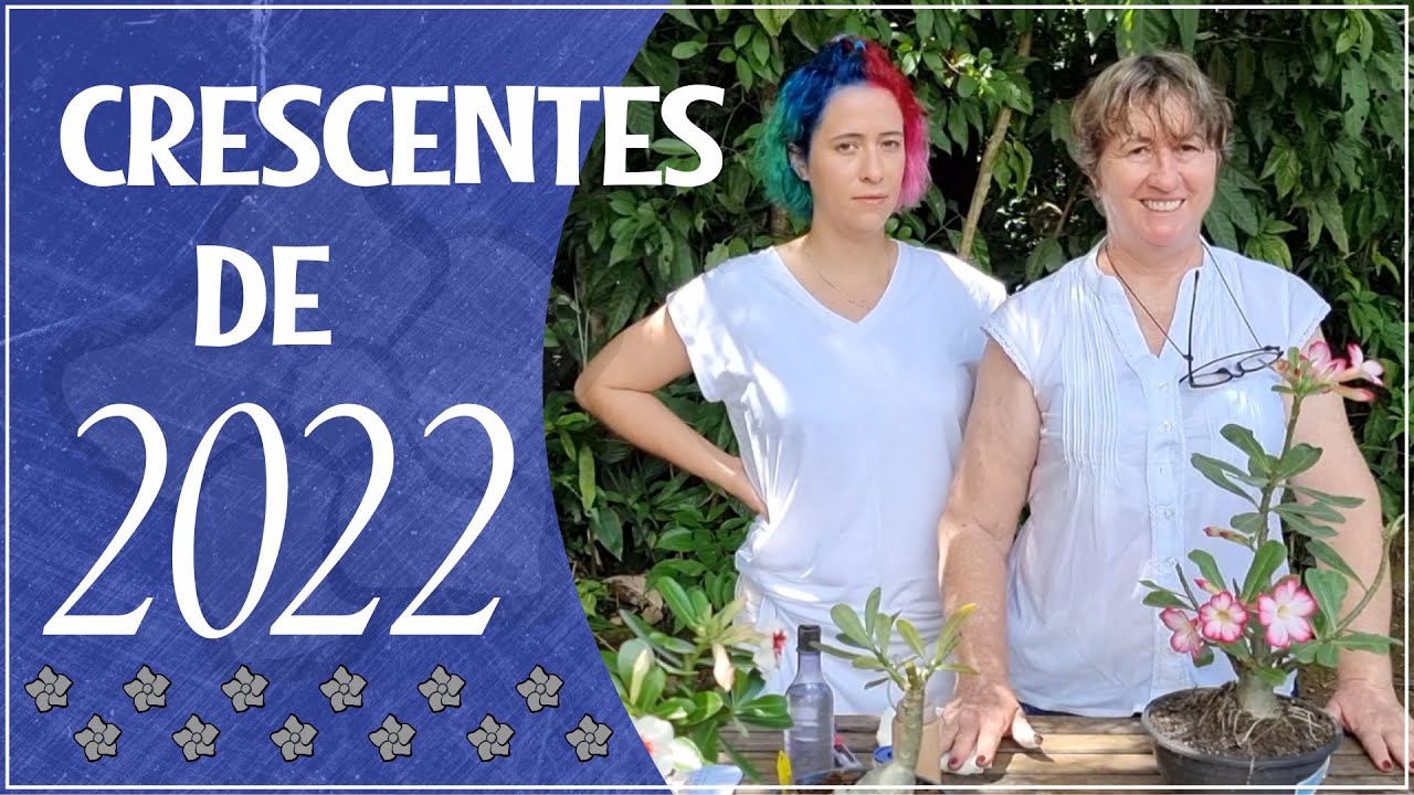 CALENDARIO LUNAR 2022: 12 LUAS CRESCENTE MAIS UMA DE BRINDE!