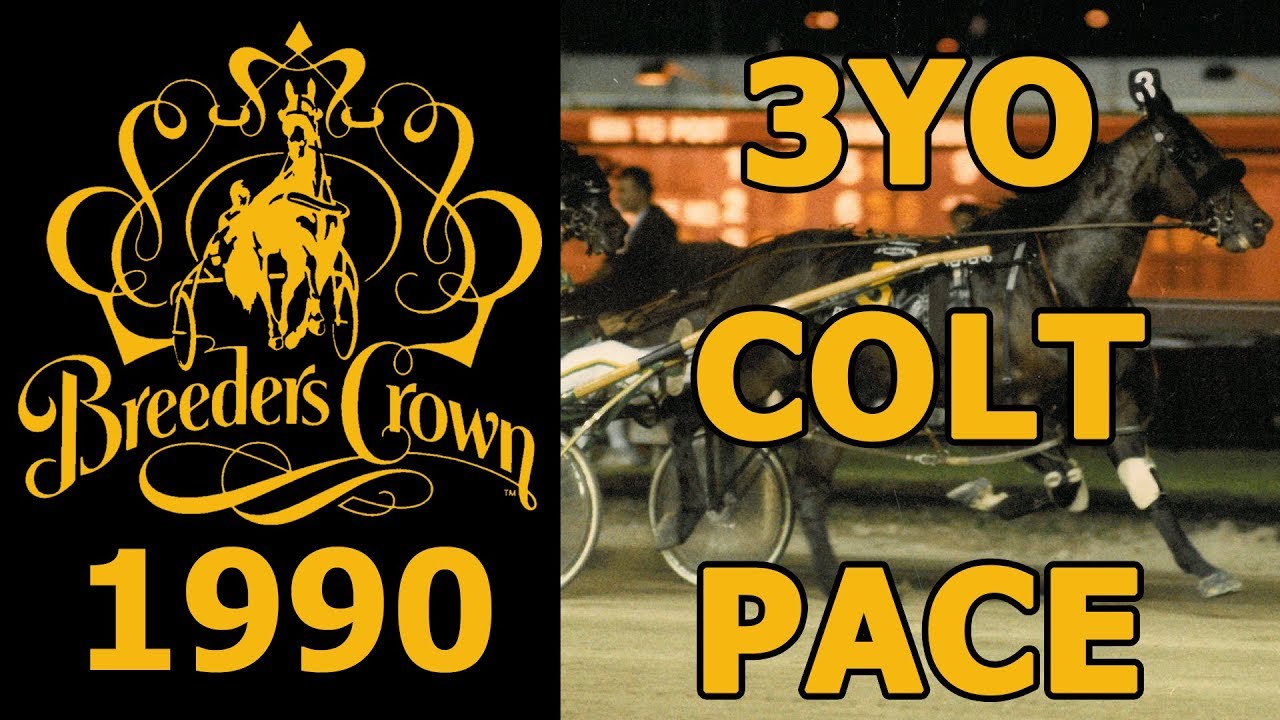 1990 Breeders Crown - Beach Towel - 3CP