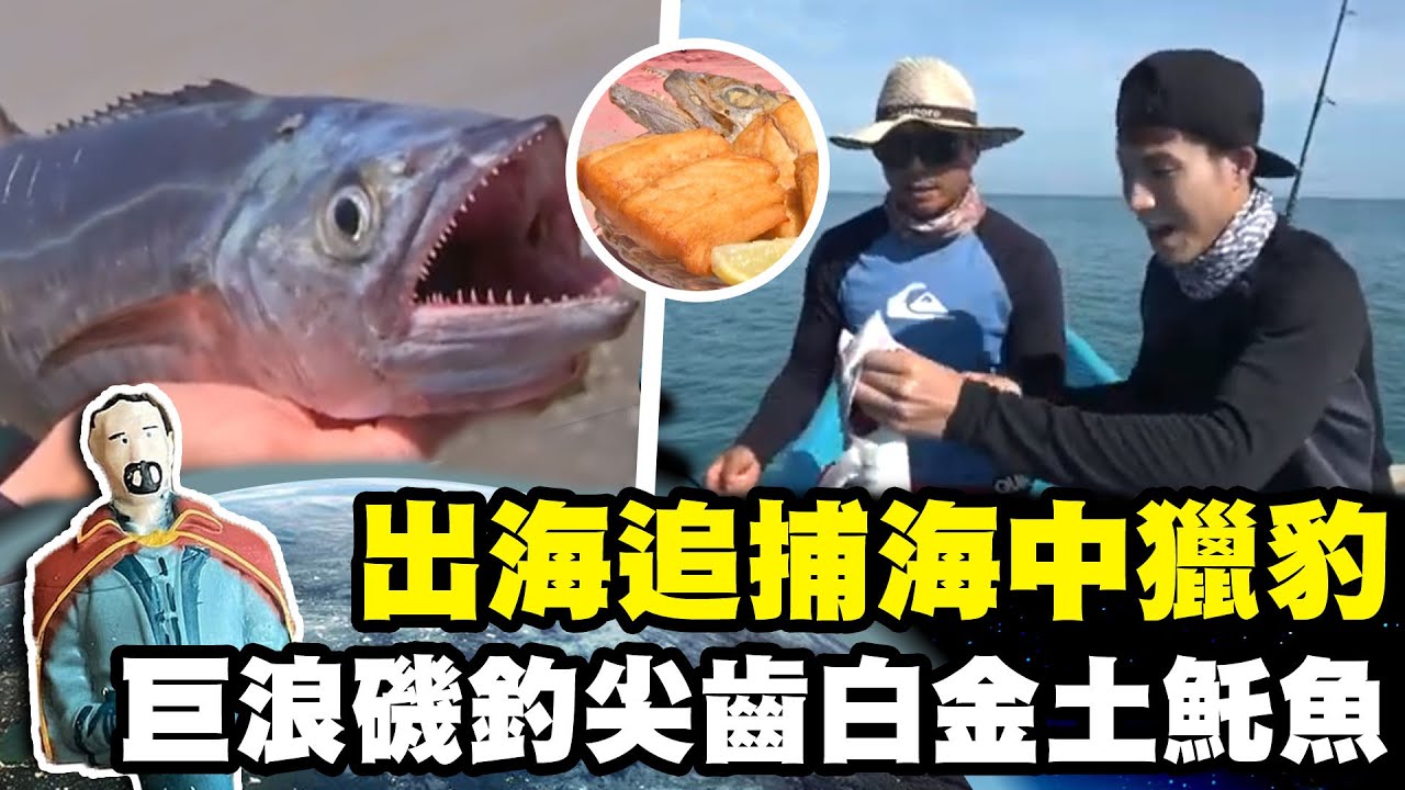 【東帝汶】出海追捕海中獵豹 巨浪磯釣尖齒白金土魠魚｜《世界第一等》797集精華版