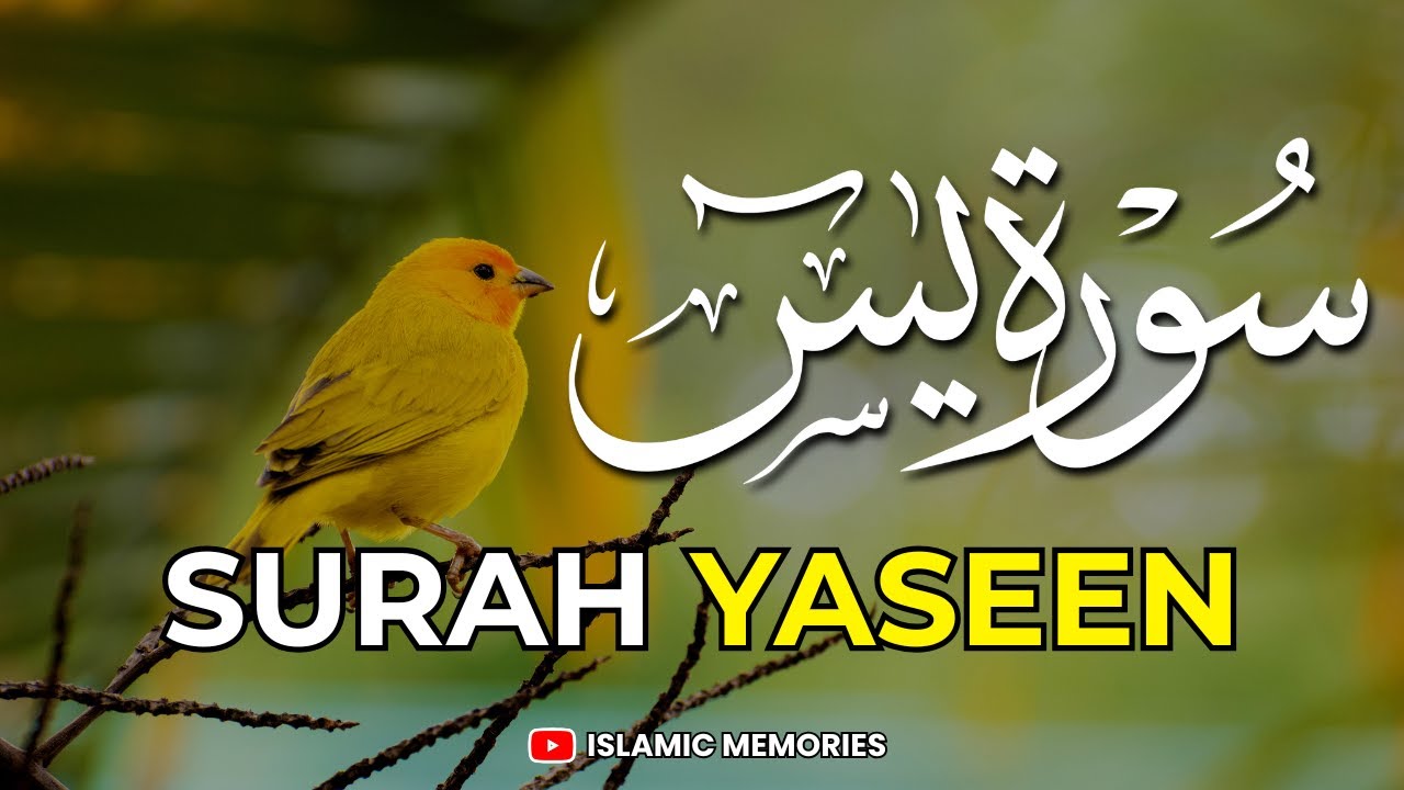 Surah Yasin Full Recitation I Surah Yaseen I Peaceful Quran Recitation #foryou #fyp #surahyaseen