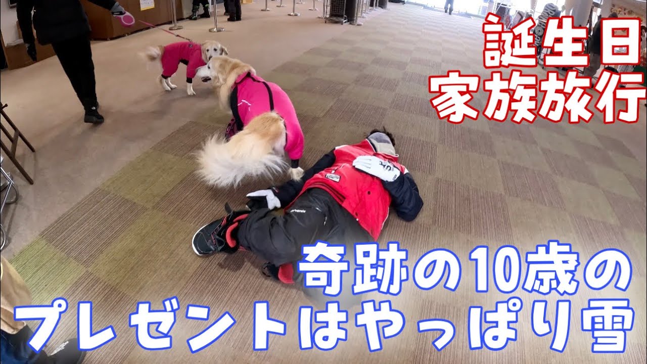 【誕生日家族旅行1】沢山のガン治療を乗り越えた10歳の誕生日のプレゼントはやっぱり雪！