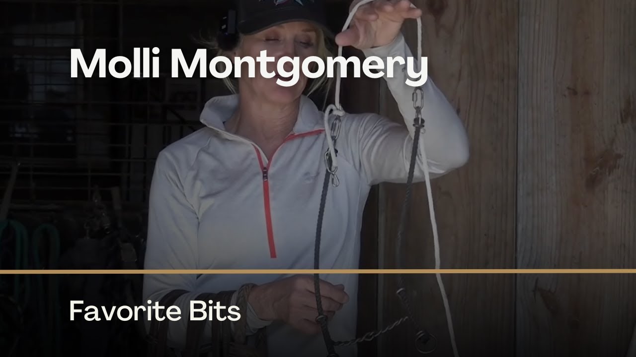 Molli Montgomery's Favorite Bits on Between The Reins