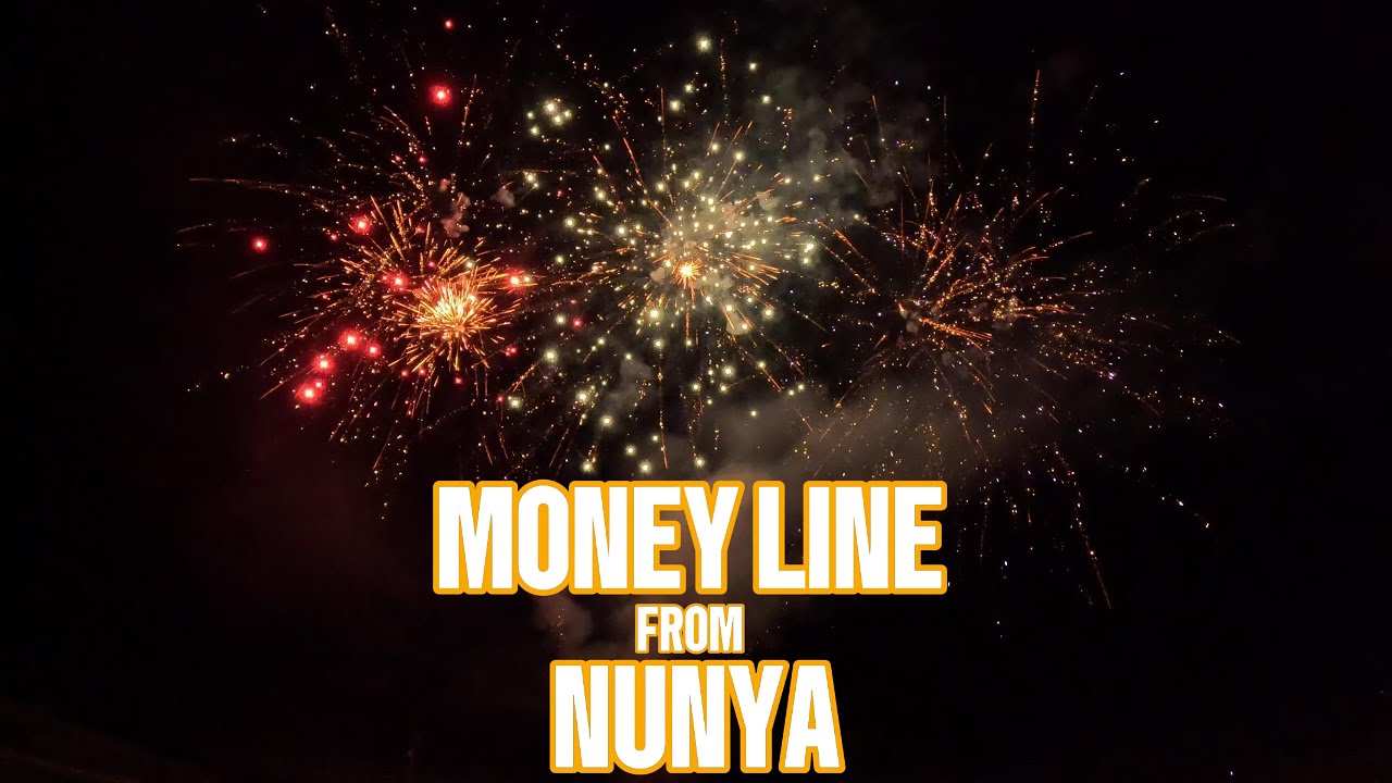 MONEY LINE 235 SHOTS FROM NUNYA #fireworks #pyro #pyroaddicts #demo #banger #4thofjuly