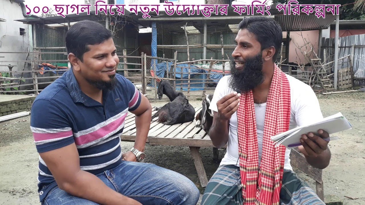 কোন জাতের ছাগল দিয়ে কিভাবে খামার শুরু করবেন ।। 01988883104 ।। উদ্যোক্তা উন্নয়ন পর্ব-০৮