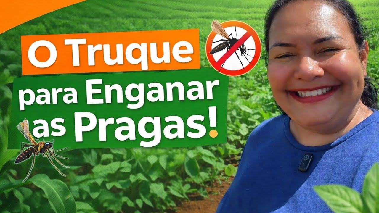 Chega de sofrer com lagartas e insetos na horta! 🐛