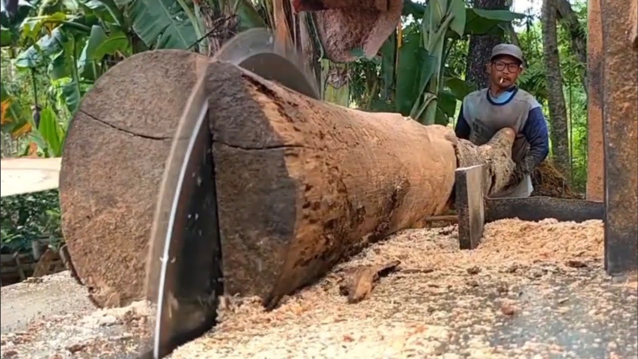 TAMPAK RUSAK DILUAR  !! Menggergaji kayu jati & mahoni - mesin serkel rakitan