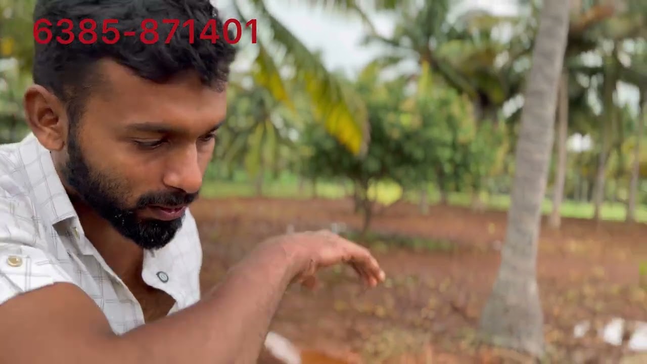 Tenkasi  agriculture land, 6 acre one aker 40 lakh negotiable