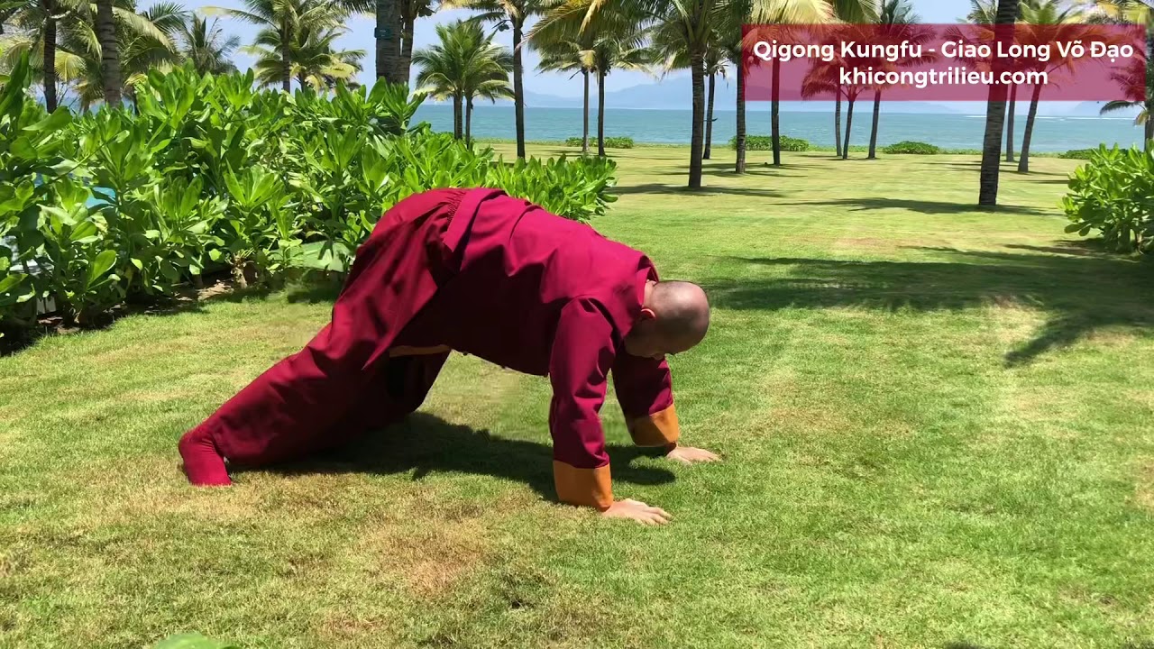 Giao Long Võ Đạo - Qigong Kungfu
