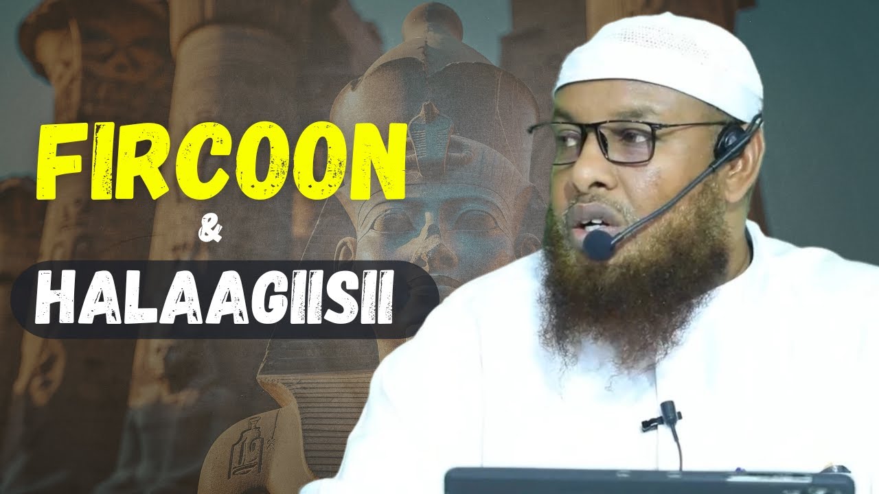 Fircoon Halaagii Ku Dhacay || shiikh maxamuud xaliike