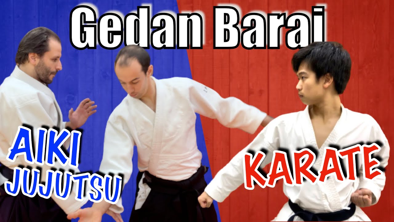 ❌DON'T❌ Turn Your Hips!?!?｜Gedan Barai Aiki-Jujutsu Style
