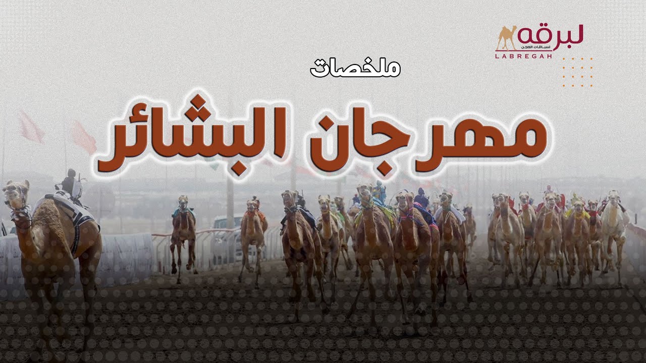 ملخص أشواط الجذاع (مهرجان البشائر السنوي للهجن) صباح 04-02-2026