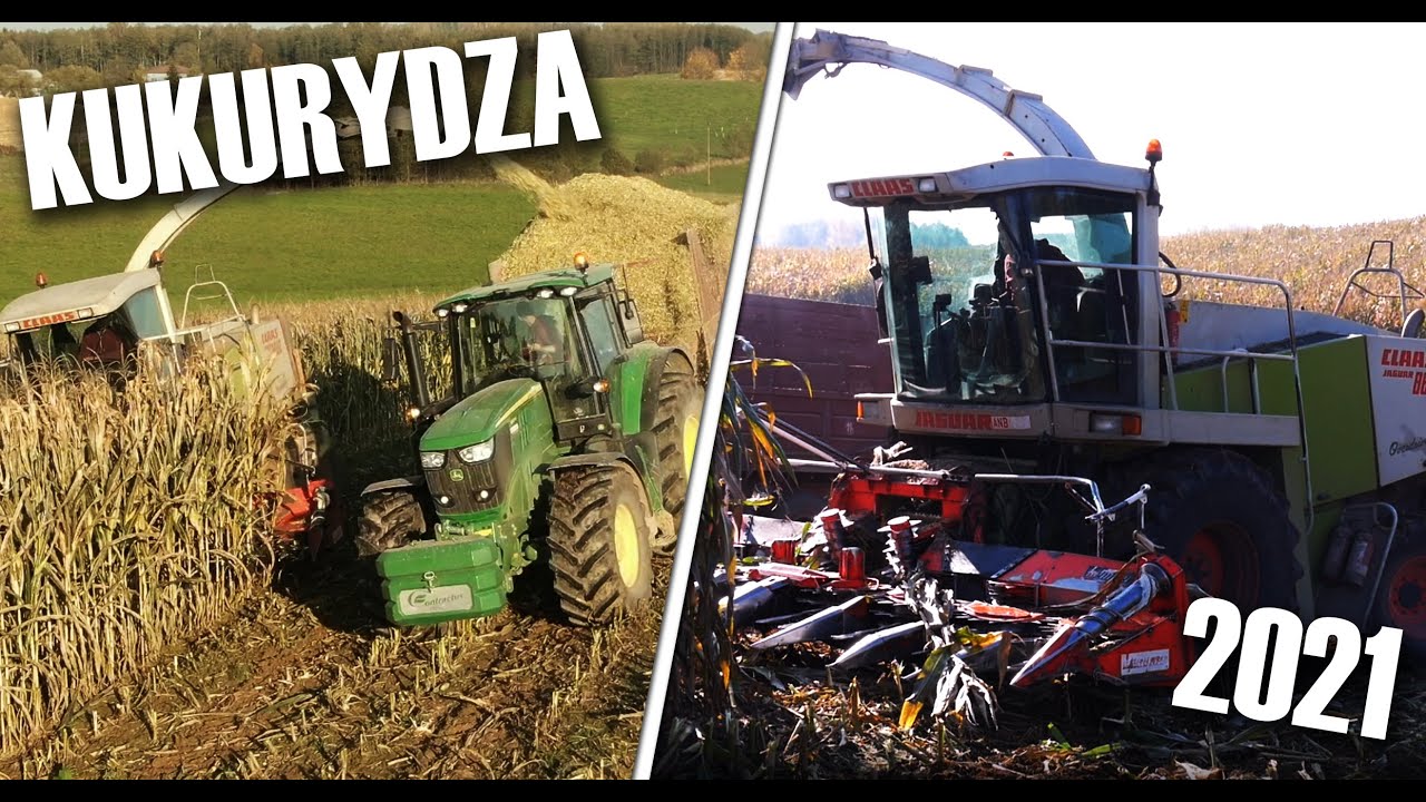 🌽 KUKURYDZA 2021🌽 | CAŁODOBOWO OPOROWO! | CLAAS | JOHN DEERE | RENAULT