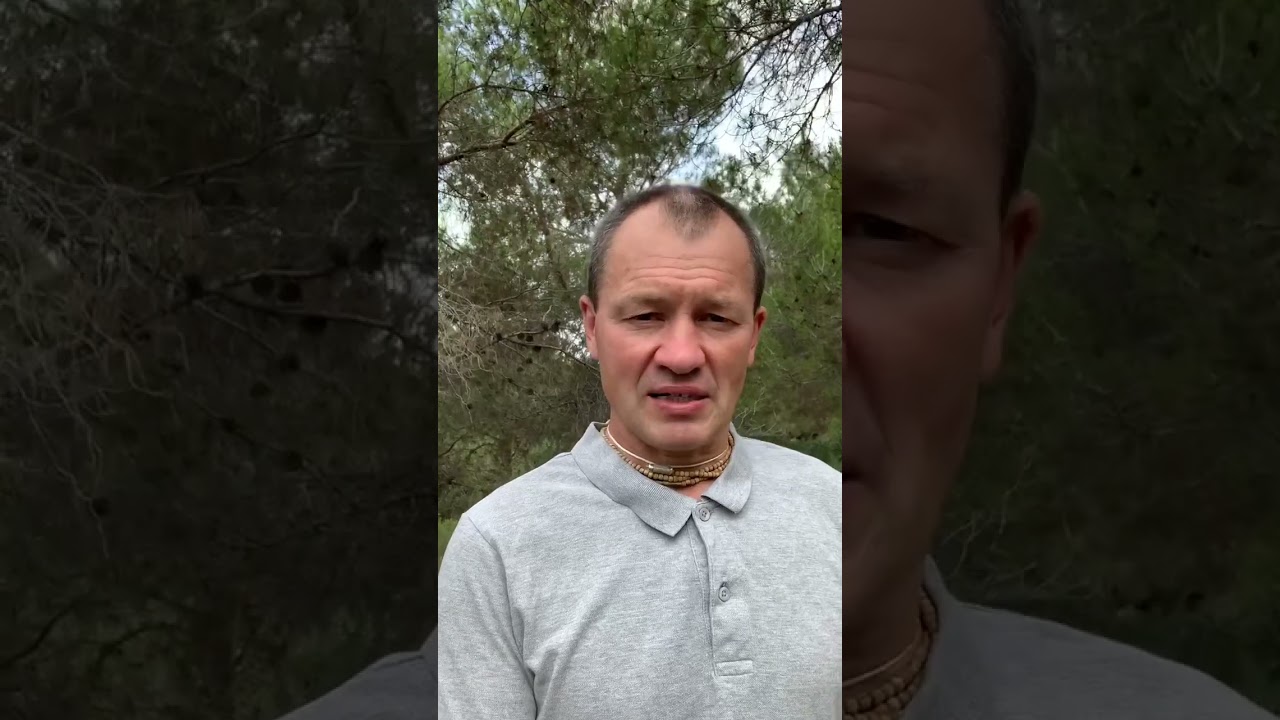 5 пран: Прана-вайю, Апана-вайю, Самана-вайю, Удана-вайю, Вьяна-вайю.