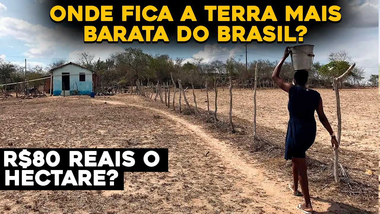 QUAL O PREÇO DO HECTARE MAIS BARATO E O MAIS CARO DO BRASIL?
