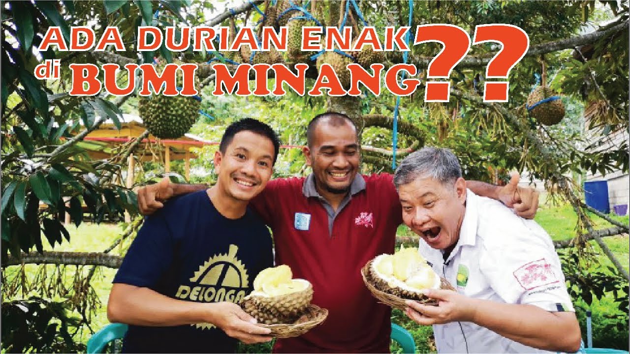 [Juni 2022] Ada Durian Enak di Bumi Minang?