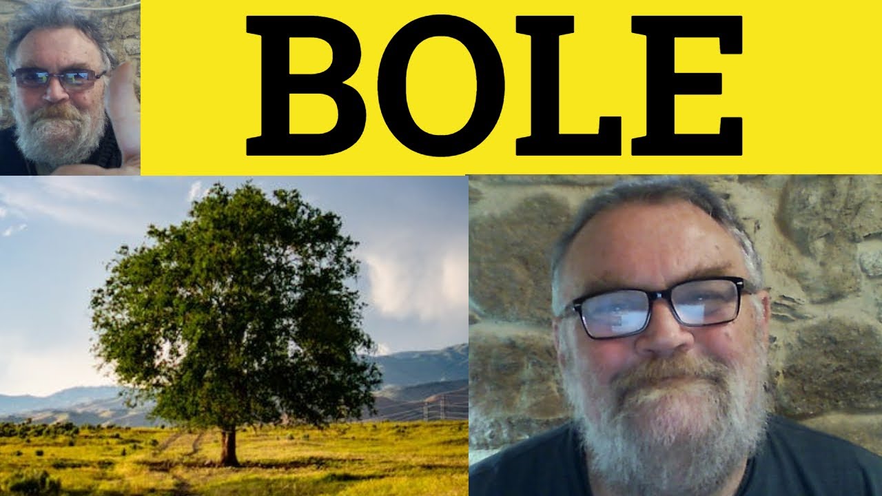 🔵 Bole Meaning - Bole Examples - Bole Definition - Bole
