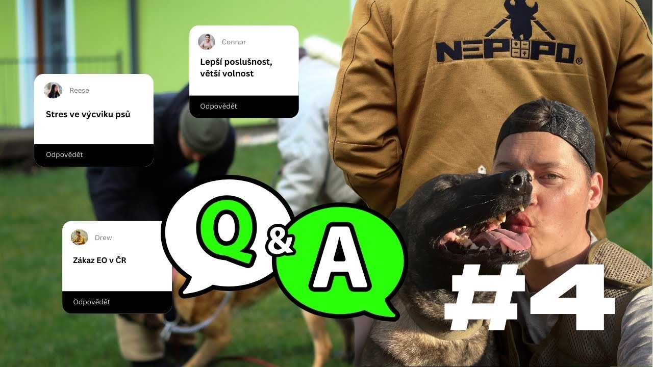 Q&A | 4 | Lepší poslušnost znamená více volnosti, stres ve výcviku psů a zákaz používání EO v Česku