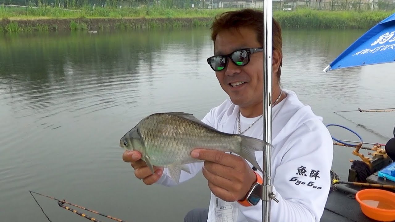 梅雨ど真ん中!! 雨の神扇池!! パラソルの差し方を考えてみた