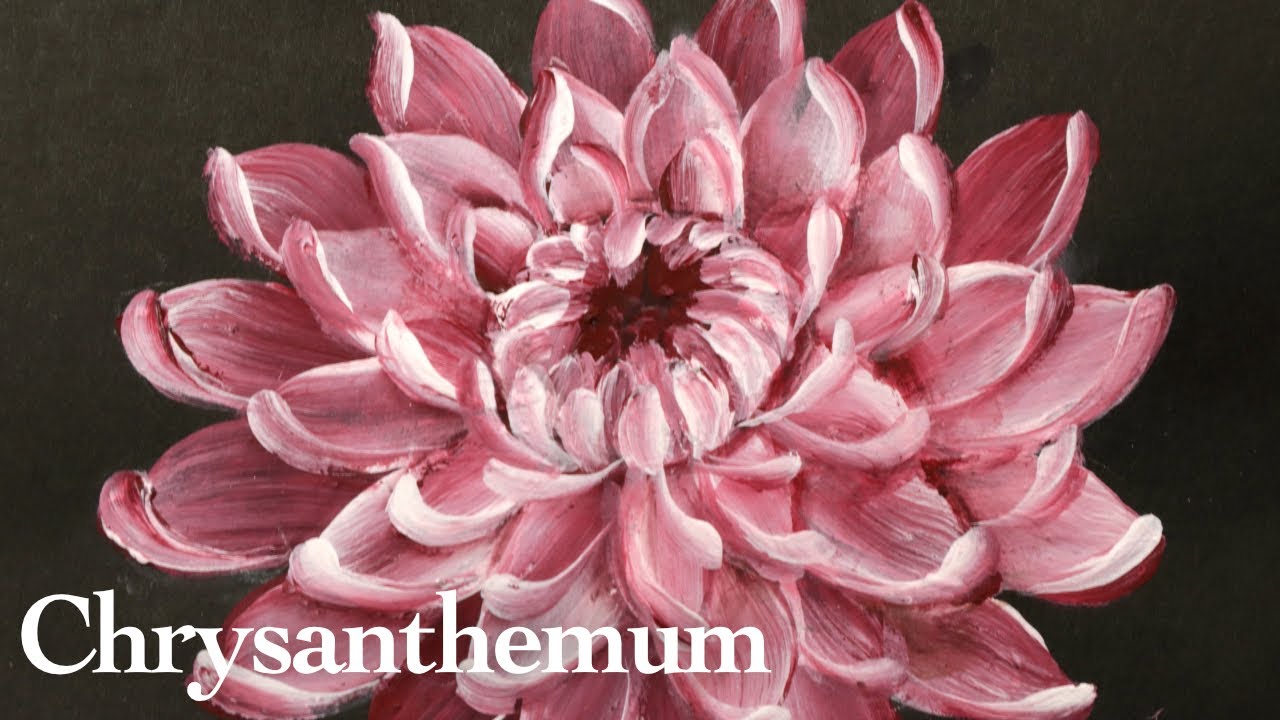 Chrysanthemum acrylic painting | dark red