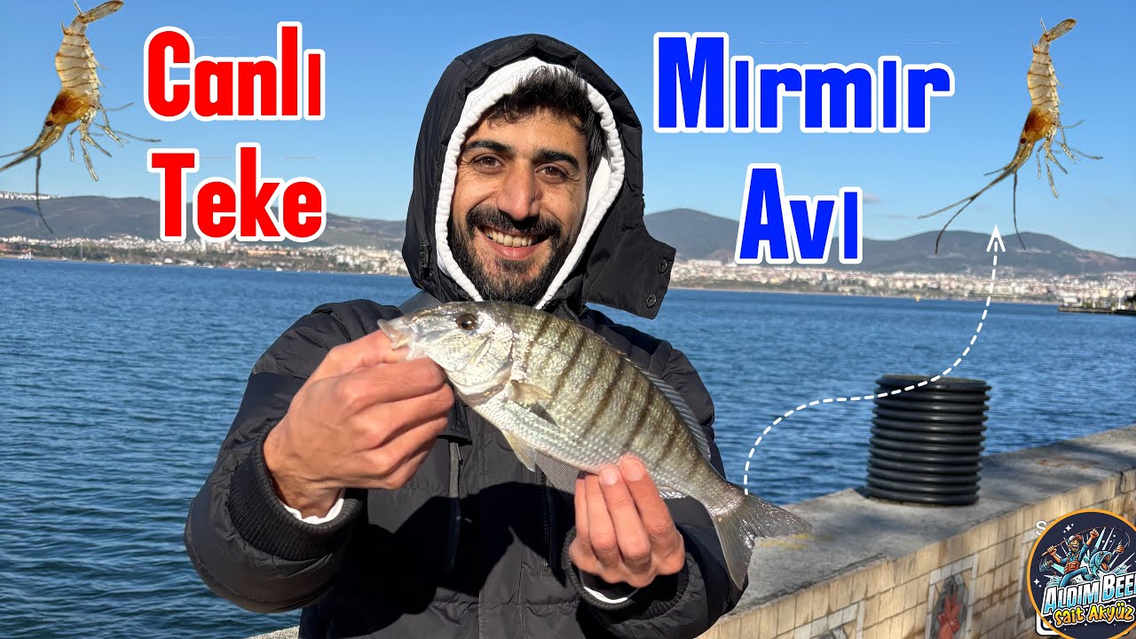 Değirmendere Lrf Canlı Teke ile Mırmır Avı
