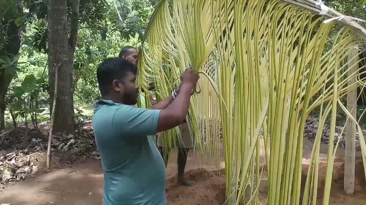 Funeral day අවමංගල දවස #funeralday#