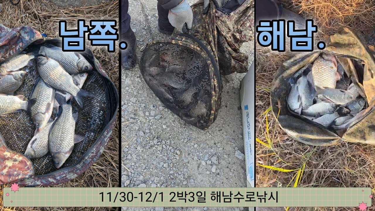 해남낚시 3탄///해남허리급 붕어#11/30~12/2 2박3일#부동리낚시/7~9치가주종//함께해주신분들께 감사드립니다 