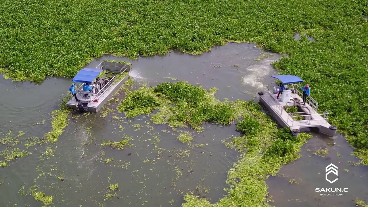 เรือตัดผักตบ&เรือเก็บผักตบ #SakunC