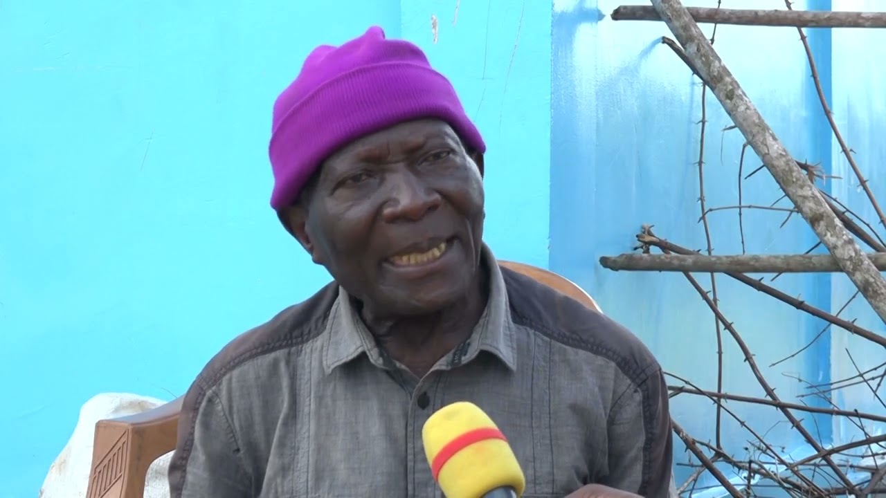 Congo Brazzaville/ Les activités agricoles avec la coopérative LOKOUET à Makoua